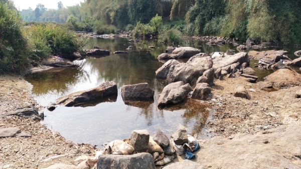 Travel News Cauvery River Has Dried Up In Dubare Elephant Camp