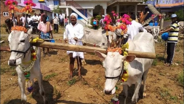Karnataka Drought Effect On Chinnada Ulume In Kodagu