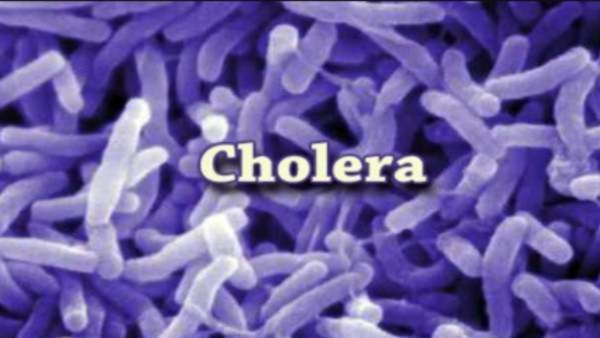 Cholera Rice in Bengaluru BBMP Guidelines Issued For PG Owners Know Instruction