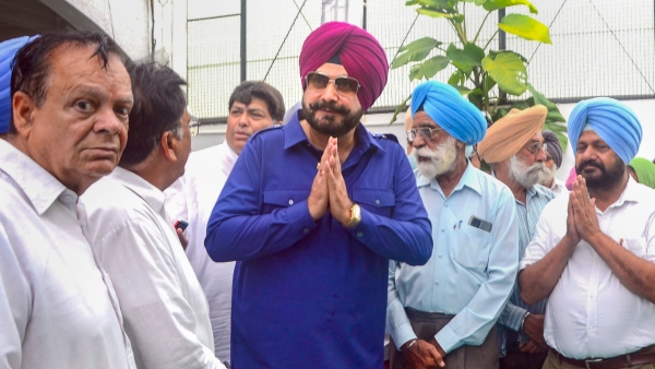 Lok Sabha Election Cricket s Influence on Politics - Number of Players in the Field Lok Sabha Election Cricket s Influence on Politics - Number of Players in the Field