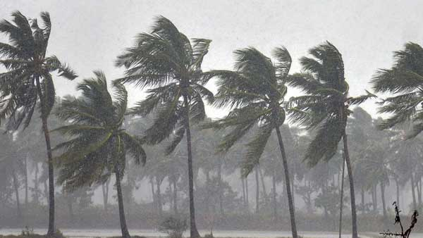 Cyclone Kills 5 Over 100 Injured At West Bengal Jalpaiguri Cyclone Kills 5 Over 100 Injured At West Bengal Jalpaiguri