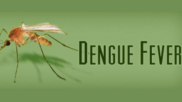 Dengue fever cases surge Udupi district health authorities launch larva survey