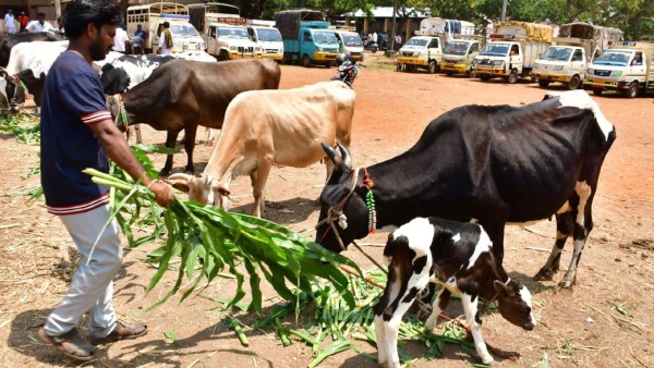 Innovative campaign by Dharwad district administration for farmers