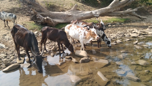 dharwad-farmer-has-pumping-borewell