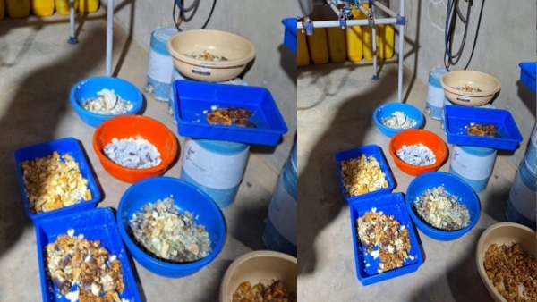 NCB busts drug manufacturing labs in Gujarat Rajasthan 13 arrested