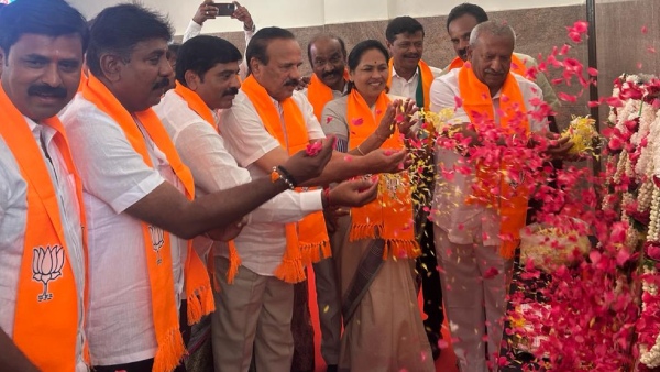 Do you know why Sadanand Goudru rebelled and remained silent even though the ticket was lost