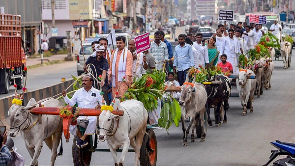 Lok Sabha Election 2024 This things should know while submitting nomination papers Lok Sabha Election 2024 This things should know while submitting nomination papers