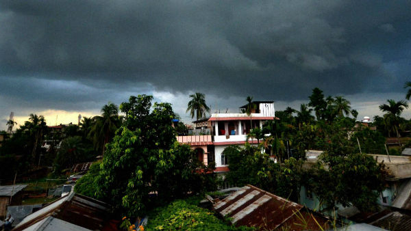 Villager Marries Frogs to Invoke Rain God Amid Severe Drought