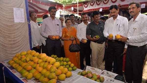 Jackfruit Fair From April 14 to 16 in Moodbidri at Dakshina Kannada speciality