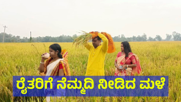 Rain Gives Small Relief To Karnataka Farmers In April 2024
