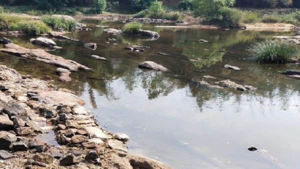 Summer Days 2024 Kodagu People Waiting For Rainy Season