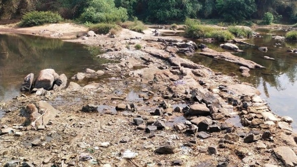 Summer Days 2024 Kodagu People Waiting For Rainy Season