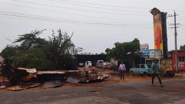Heavy Rain in Mandya Causes Trees to Fall