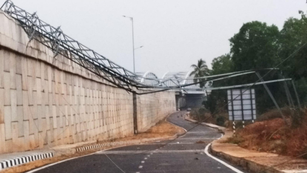 Heavy Rain in Mandya Causes Trees to Fall