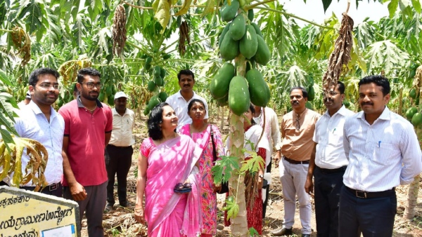 MGNREGA Gives Life to Dharwad Farmers During Drought Read Their Success Story MGNREGA Gives Life to Dharwad Farmers During Drought Read Their Success Story