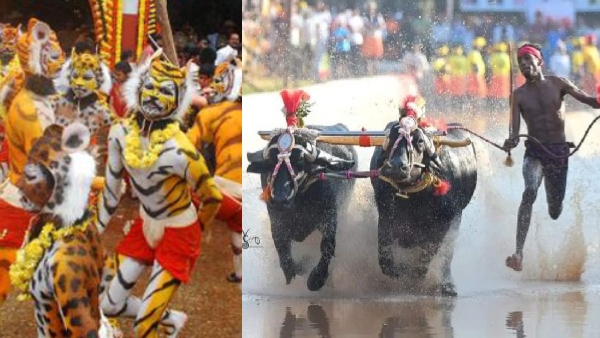 Mangalore Road Show Reveals Vibrant Coastal Culture in Prime Minister Modi s Visit
