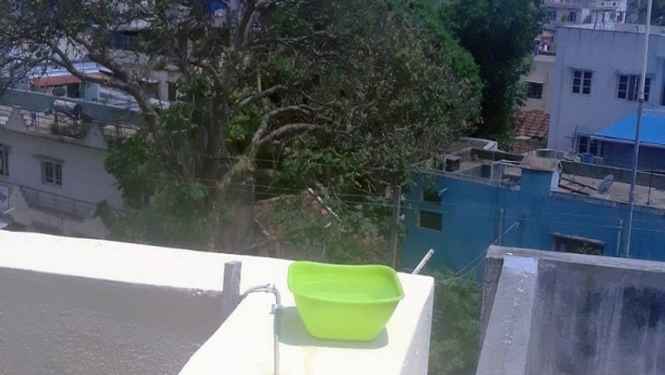 Save Animals And Birds In Summer Days At Mysore