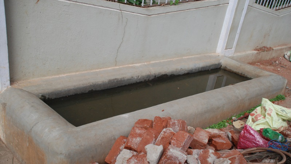 Save Animals And Birds In Summer Days At Mysore