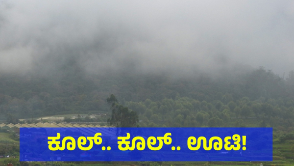This is the Ideal Time to Visit Ooty as Temperatures Drop to 12 Escape from Bengaluru s Heatwave