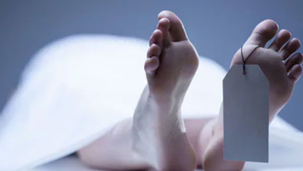 Pedestrian deaths in Bengaluru increased 77 in last 3 years Traffic Department