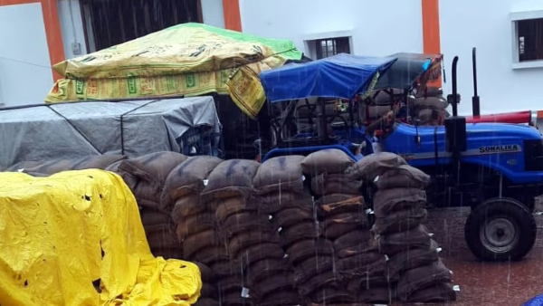 unseasonal rainfall posing risk of damage at wheat purchasing centers in bhopal mp