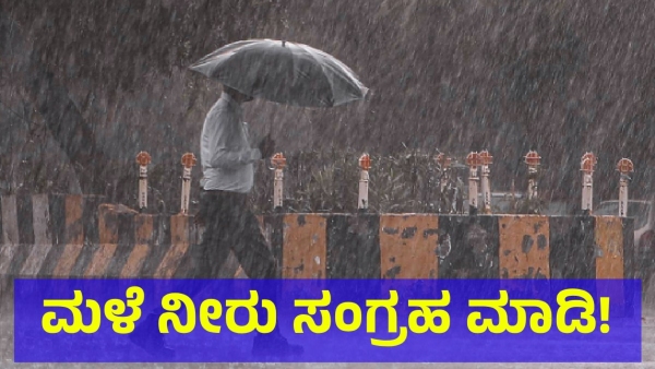 Discover The Reasons To Rain Harvesting In Rainy Season