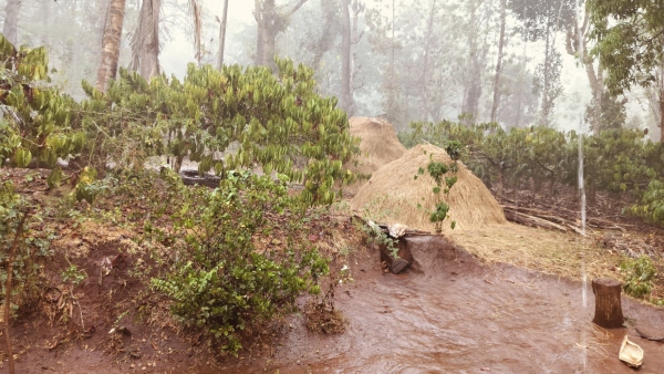 Heavy Rainfall Hits Chikkamagaluru and Several Districts in Karnataka on April 3