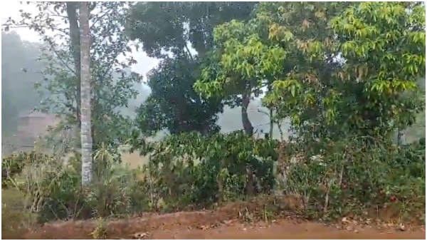 Heavy Rain Here The Details of District wise maximum rainfall in Karnataka