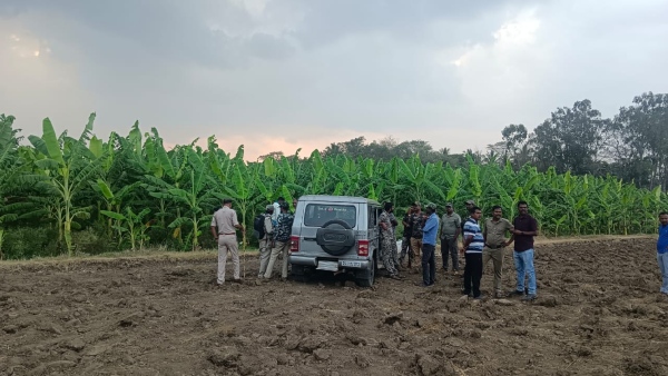 Tiger sighting in banana plantation in Gundlupet attack on youth