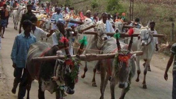 What is special of Honneru celebration in Chamarajanagar district