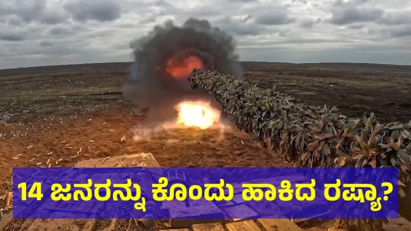 Allegedly 14 Ukraine Citizens Are Died In Russian Attack On Ukraine