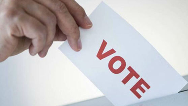 12 Lakh People In Karnataka Are Allowed To Vote From Home In This Lok Sabha Election