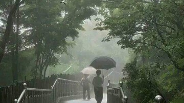 This Year Karnataka See Good Rain And Crops Kodekal Basaveshwara Karnika Predictions