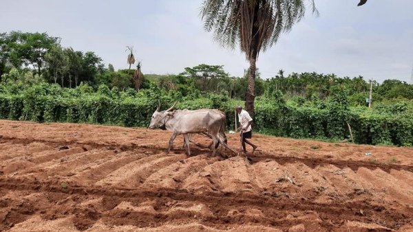 Monsoon Season 2024 Tips For Farmers To Seed Purchase