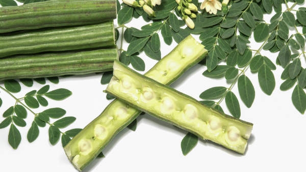 Amazing Benefits of Drumstick Water