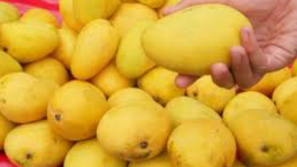 Top 10 Mango Health Benefits in Kannada
