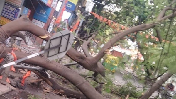 Rain In Bengaluru Whats Up Number For Complaint To BESCOM