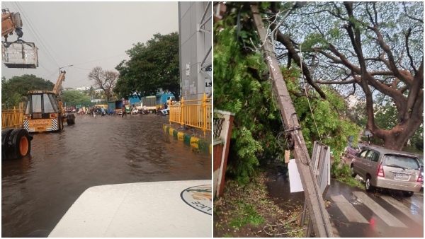 Bengaluru Rain Hailstorm Causes Uprooted Trees and Waterlogged Roads Leading to Traffic Jam