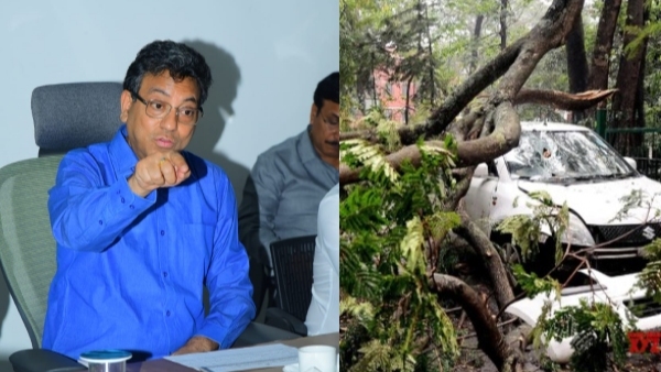 Bengaluru Rain What Precautionary Measures BBMP Takes Know More