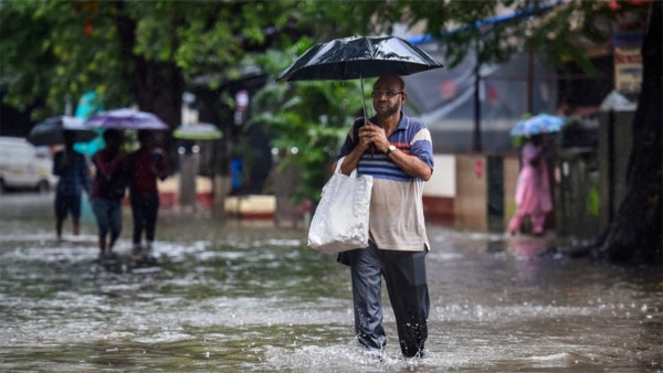 Trees falling during rains in Bengaluru Public outrage against BBMP