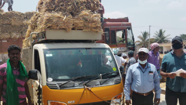 Highest numbers of Goshalas start in state at Chamarajanagar district