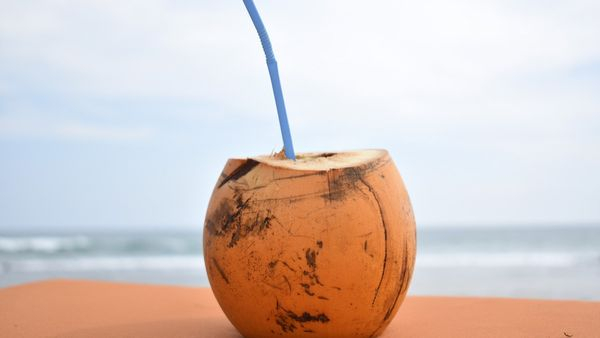 The Juice And Tender Coconut Water Price Increasing Day By Day In Bengaluru