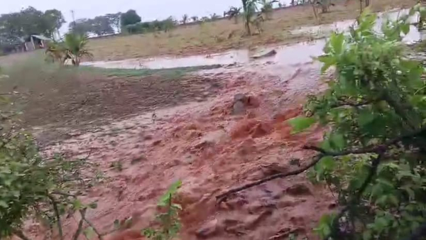 Crops are flooded due to heavy rain in many parts of Chamarajanagar district