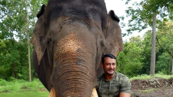 Kannada Actor Darshan Helped In The Burial Of Dead Elephant Arjuna
