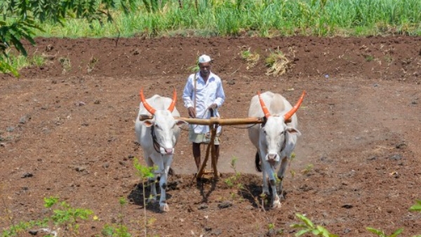 Dharwad District Farmers Ready for Monsoon Sowing Season Sowing Targets 270 840 Hectares
