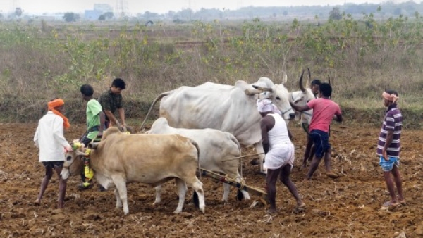 Dharwad District Farmers Ready for Monsoon Sowing Season Sowing Targets 270 840 Hectares