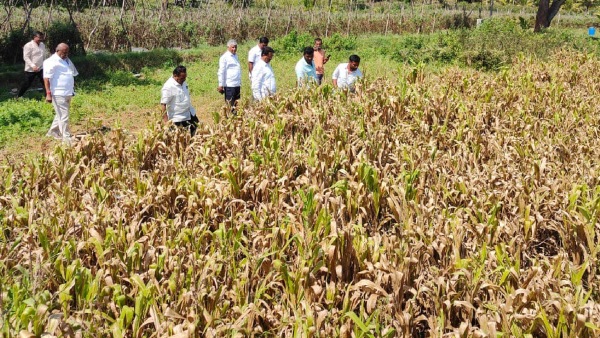 How To Check Drought Compensation Tips For Farmers