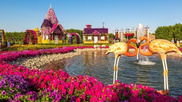 Karnataka Tourism Bengaluru to Dubai Miracle Garden Tour Do you want to go Do this