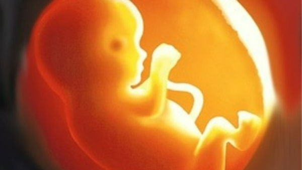 17 People in Mysuru District Face Complaints in Female Fetus Killing Case Following CID Order