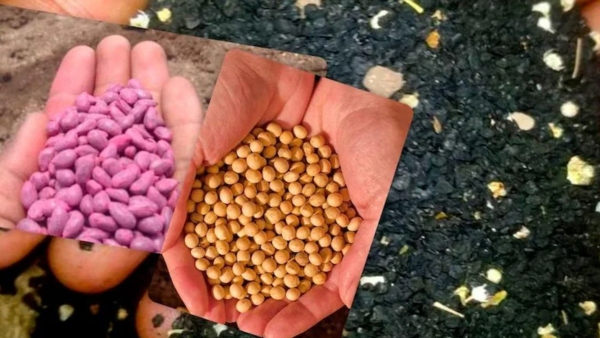 Seeds-Fertilizers Distribution to Farmers in Dharwad If Create Artificial Scarcity DC Legal action warn